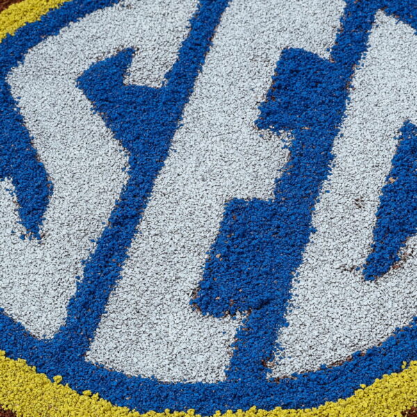 SEC, Big 10 block return of NFL players to member schools