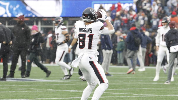Texans WR Jayden Higgins tore his ACL